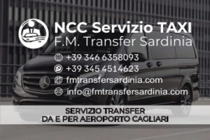Biglietto da visita fm trabsfer sardinia